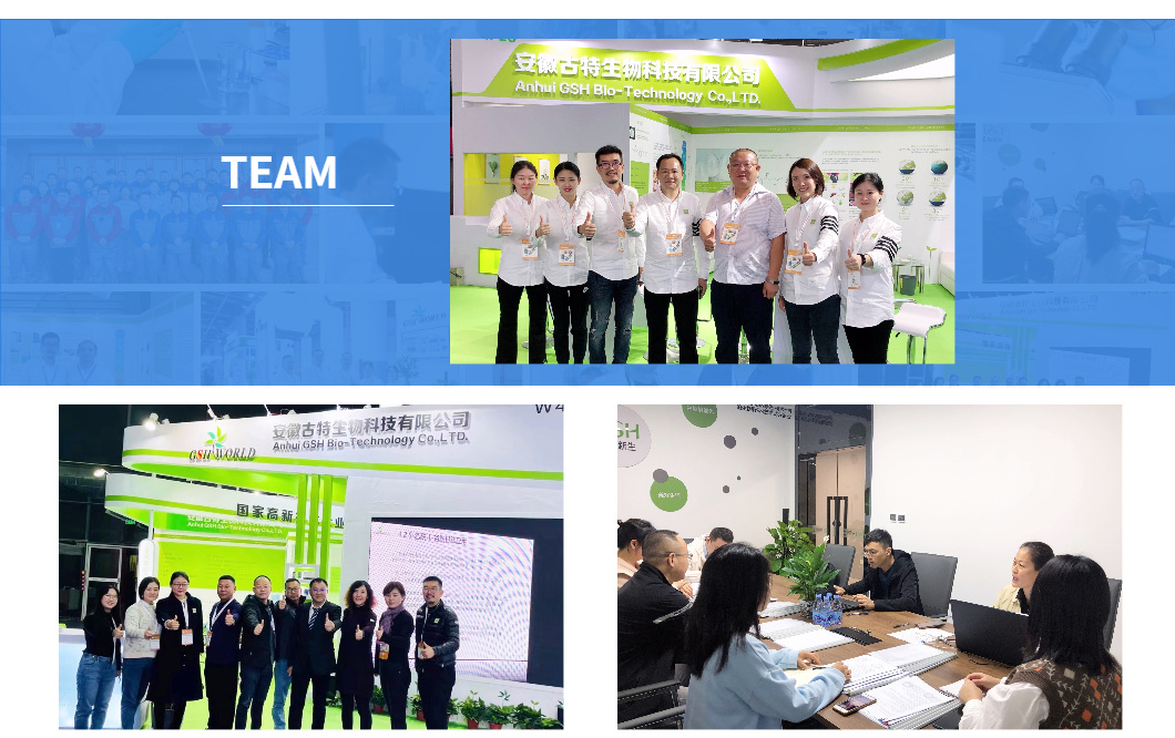 Chemical Raw Material S-Adenosyl-L-Methionine Disulfate Tosylate Food Grade 97540-22-2