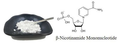 99% Anti Aging Nicotinamide Mononucleotide Powder Pure NMN suppliers & manufacturers in China