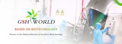 Nad++ Precursor Nicotinamide Mononucleotide (NMN) Powder CAS 1094-61-7 suppliers & manufacturers in China