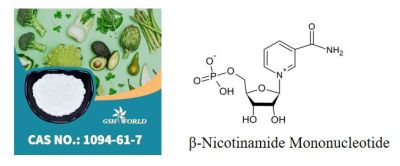 Anti-Aging 1094-61-7 Beta Nmn Nicotinamide Mononucleotide OEM 99% Nmn Powder suppliers & manufacturers in China