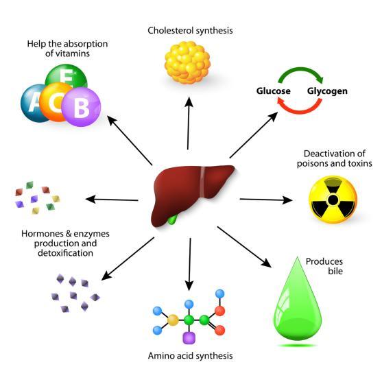 99% Ademetionine Disulfate Tosylate Same S-Adenosyl-L-Methionine Disulfate Tosylate Sam-E