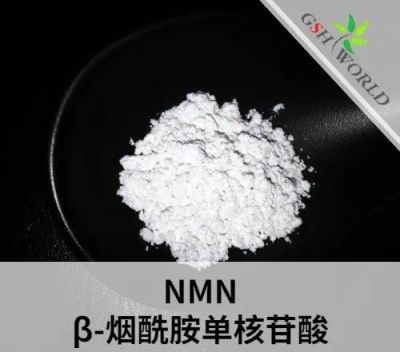 Beta Nmn Powder Nmn 1094-61-7 Health Care suppliers & manufacturers in China