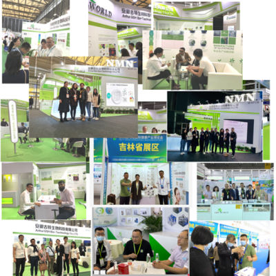 High Quality L-Carnosine, Factory Price, 98% Purity, Food Grade Material CAS 305-84-0 suppliers & manufacturers in China