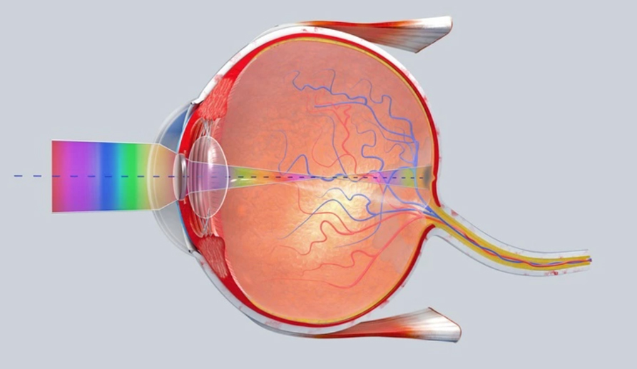 Researchers Pinpoint the Cause of Childhood-Blindness Disease