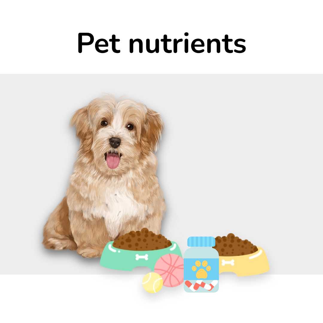 Three Potential Pet Nutrients - PQQ, Coenzyme Q10 and S-adenosylmethionine