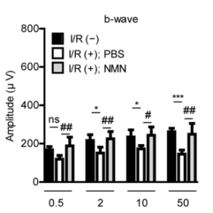 NMN preserves the retina’s electrical function NMN preserves the retina’s electrical function