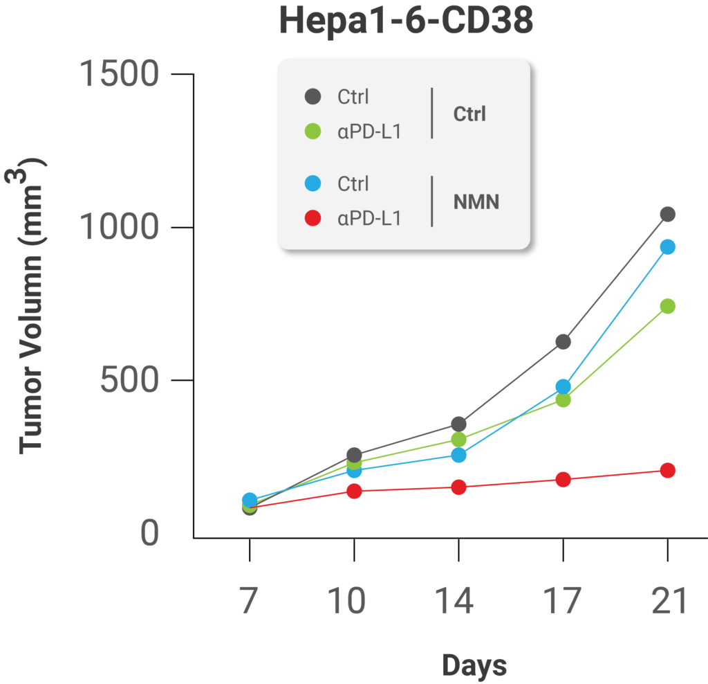 NMN treatment enhances the effect of immunotherapy against cancer