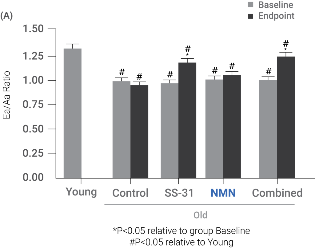 SS-31, NMN, or a combination of treatments restored the metabolic profile of heart in older mice. SS-31, NMN, or a combination of treatments restored the metabolic profile of heart in older mice.
