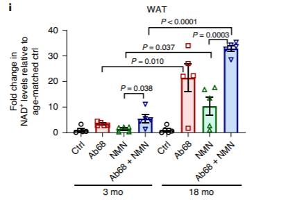 The CD38 inhibitor Ab68 enhanced the effects of NMN supplementation in boosting NAD+ levels in aged mice The CD38 inhibitor Ab68 enhanced the effects of NMN supplementation in boosting NAD+ levels in aged mice