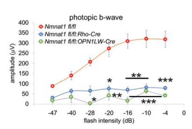 NMNAT1 is essential for the survival and function of rods and cones NMNAT1 is essential for the survival and function of rods and cones