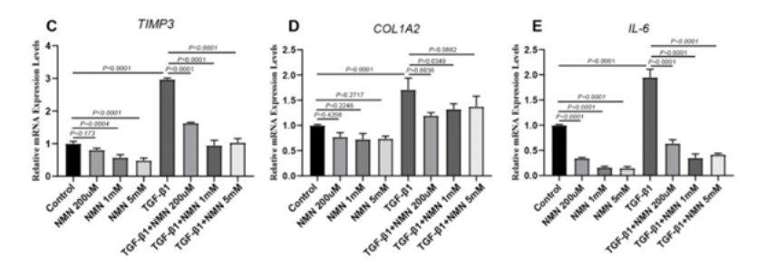 Genes that become activated during liver fibrosis had suppressed expression with NMN treatments Genes that become activated during liver fibrosis had suppressed expression with NMN treatments