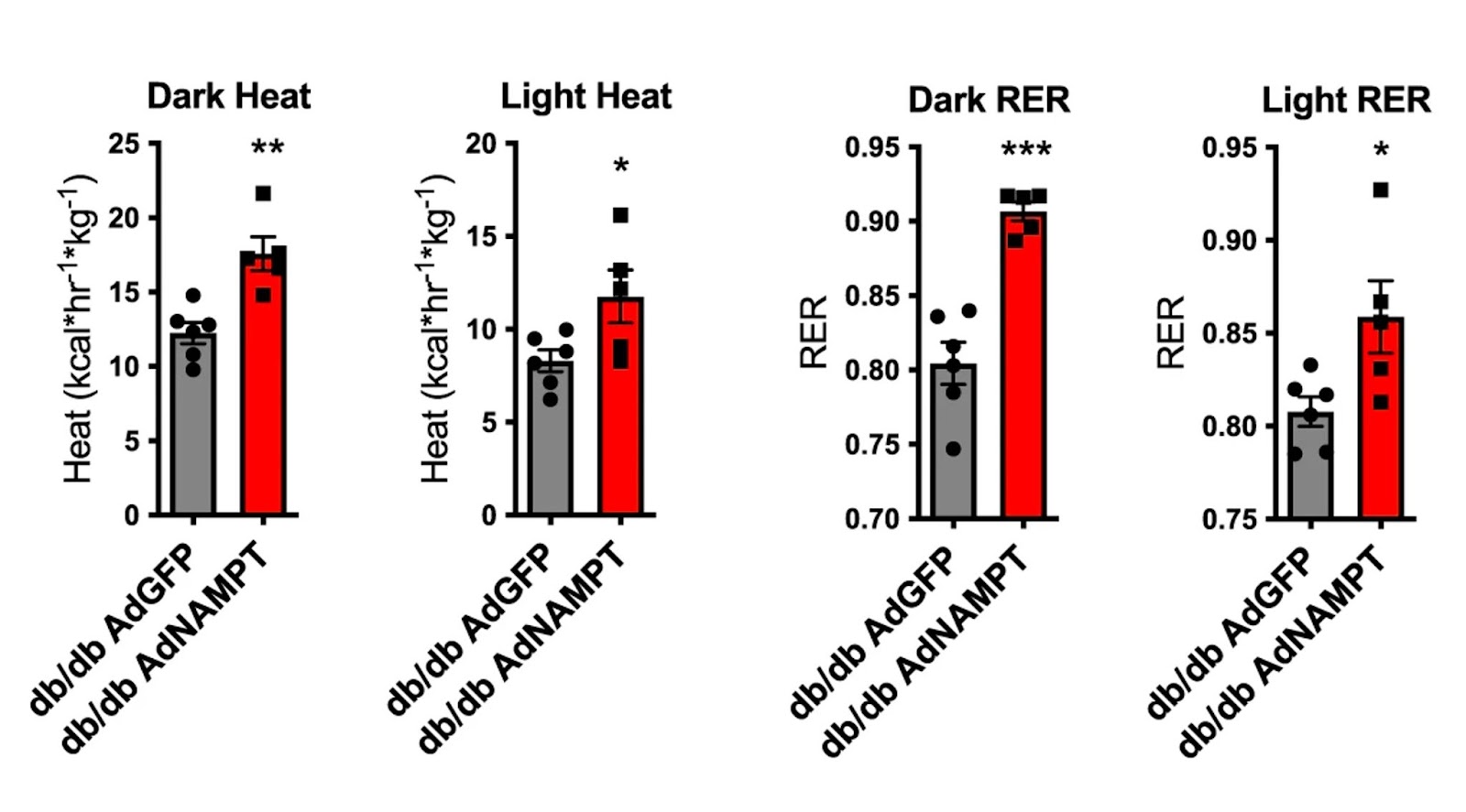 NAMPT induces fat tissue browning and thermogenesis in diabetic mice. NAMPT induces fat tissue browning and thermogenesis in diabetic mice.