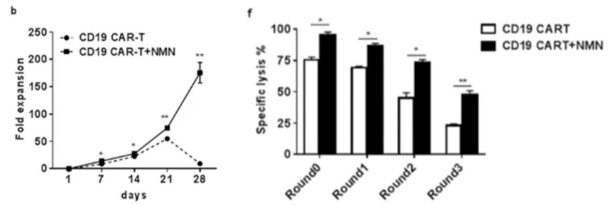 NMN treatment dramatically enhances antitumor CAR-T cell proliferation and improves cancer attacking capabilities NMN treatment dramatically enhances antitumor CAR-T cell proliferation and improves cancer attacking capabilities