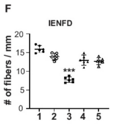 Nerve fibers that typically deteriorate with diabetes rescued by NMN supplementation Nerve fibers that typically deteriorate with diabetes rescued by NMN supplementation
