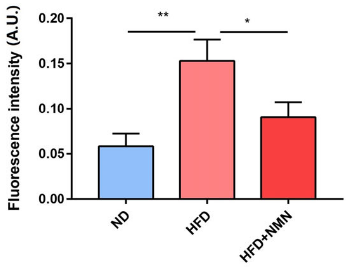 NMN reduces DNA damage in obese female mice NMN reduces DNA damage in obese female mice