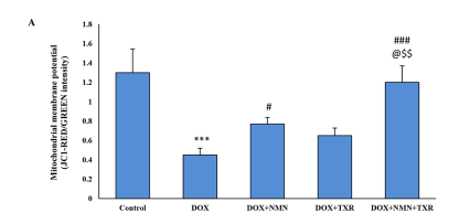 NMN and troxerutin combo preserves mitochondrial function. NMN and troxerutin combo preserves mitochondrial function.