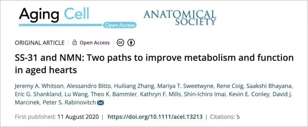 Improve the metabolism and function of the aging heart Improve the metabolism and function of the aging heart