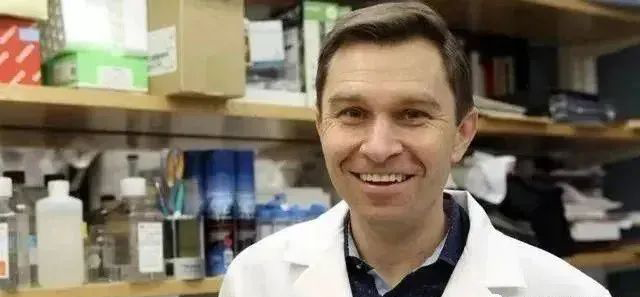 Prospects for the Application of NMN