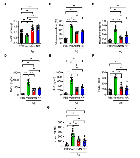 NAD+ and inflammatory mediator levels of mast cells in each group after stimulation