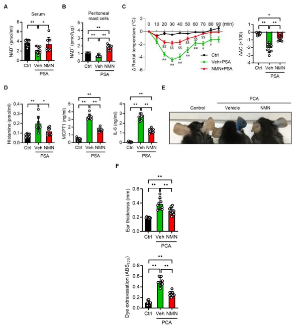 NAD+ and inflammation levels and related indicators of allergic symptoms in mice after NMN treatment