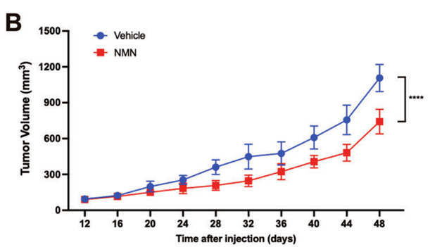 Compared with the control group, the tumors of the mice in the NMN group were significantly smaller Compared with the control group, the tumors of the mice in the NMN group were significantly smaller