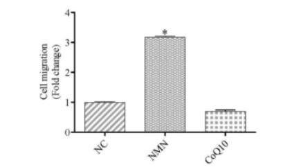 NMN enhances stem cell migration