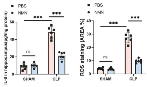 NMN reduces inflammation and oxidative stress