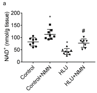 NMN restores bone mineral density in a microgravity rat model NMN restores bone mineral density in a microgravity rat model
