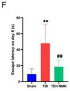 NMN improves spatial learning and memory after TBI NMN improves spatial learning and memory after TBI