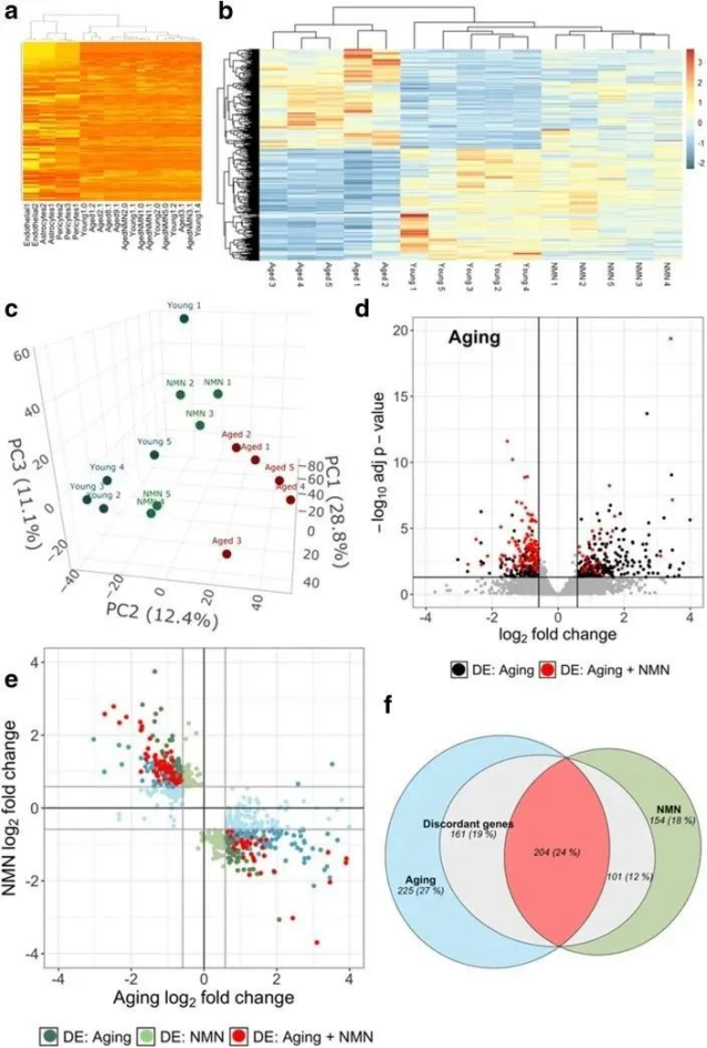 Figure: NMN reverses age-related gene expression in vascular nerves Figure: NMN reverses age-related gene expression in vascular nerves