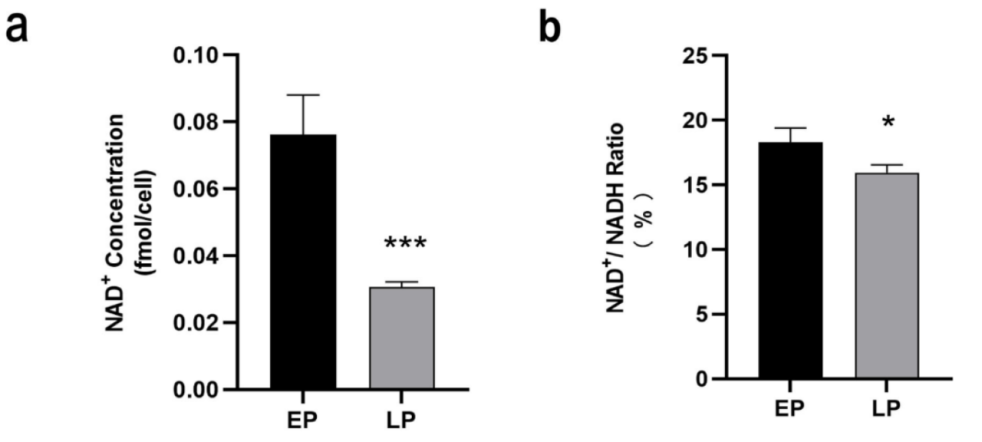 The NAD+ content (panel a) and NAD+/NADH ratio (panel b) were significantly lower in LP MSCs compared with EP MSCs The NAD+ content (panel a) and NAD+/NADH ratio (panel b) were significantly lower in LP MSCs compared with EP MSCs
