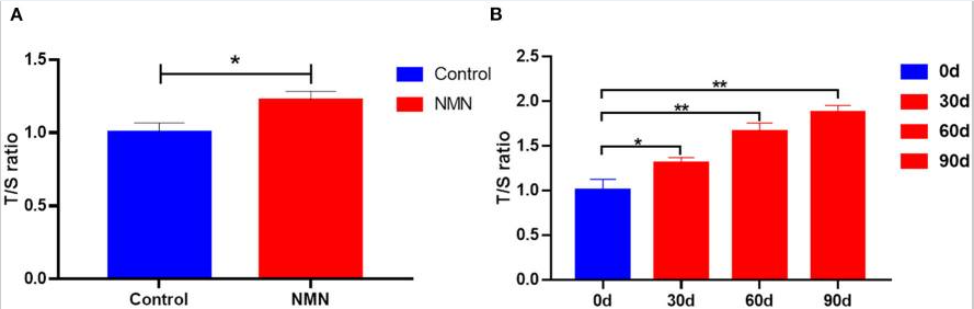 The complementary effect of NMN on telomere length in (A) presenescent mice The complementary effect of NMN on telomere length in (A) presenescent mice (n = 6) and (B) presenescent human volunteers (n = 8) peripheral blood mononuclear cells (PBMCs). Indicates significant difference at p < 0.05. Indicates significant difference at p < 0.01.