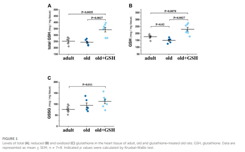 FIGURE 1 Glutathione may correct cardiovascular disorders