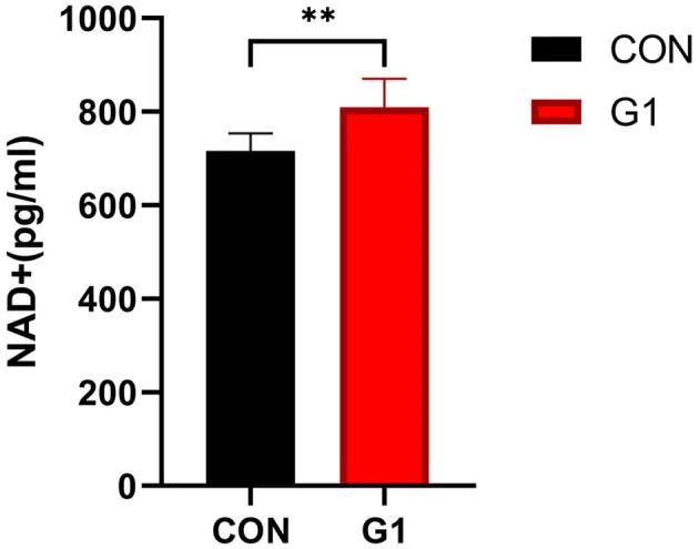Serum NAD+ levels significantly increased after long-term NMN treatment Serum NAD+ levels significantly increased after long-term NMN treatment