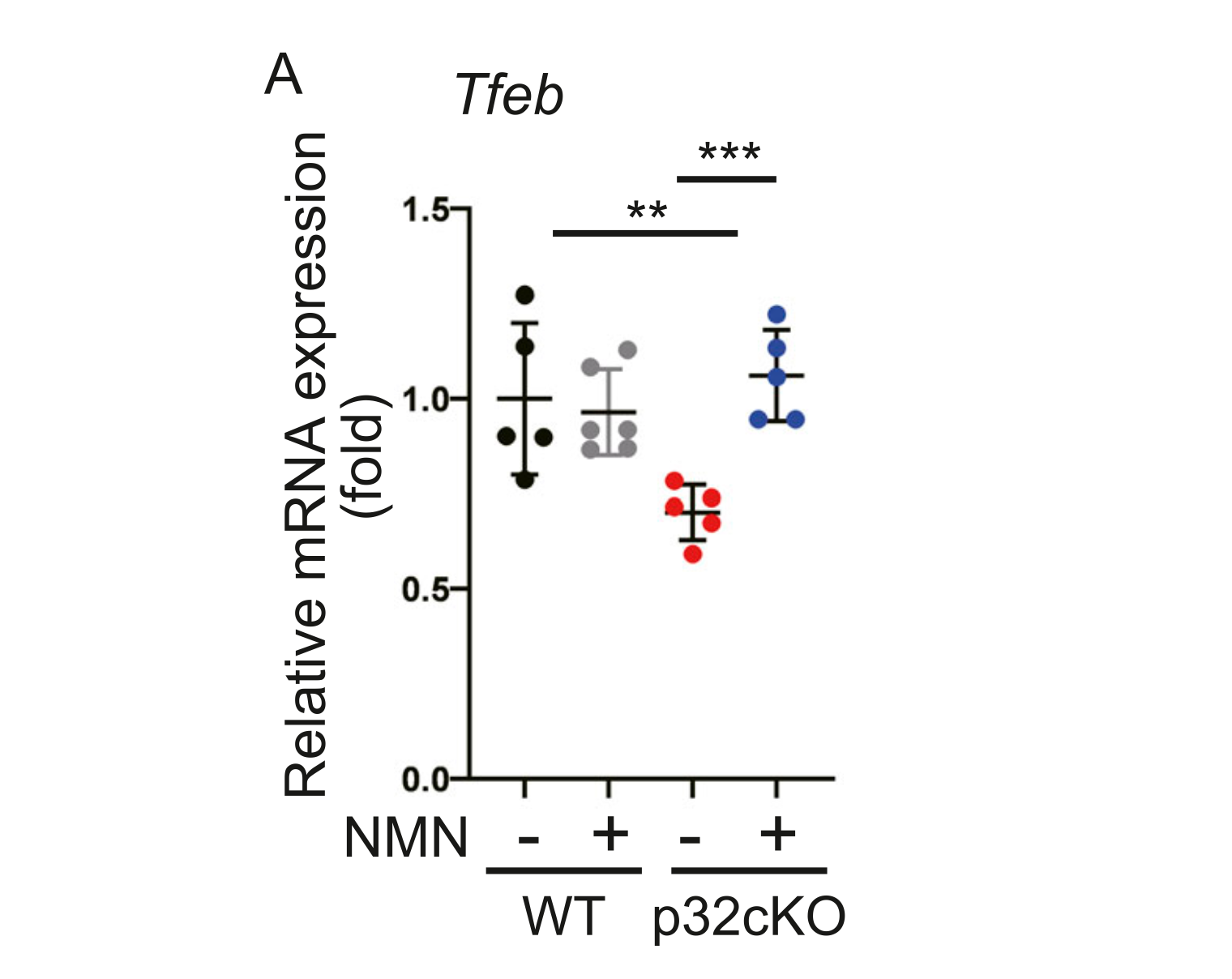 NMN may prevent heart failure