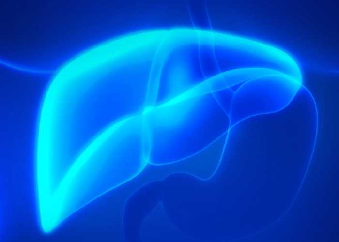 The Importance of Glutathione The Importance of Glutathione