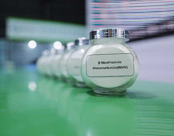 nicotinamide mononucleotide (NMN) nicotinamide mononucleotide (NMN)