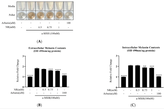 Nicotinamide Riboside or a New Whitening Ingredient? Nicotinamide Riboside or a New Whitening Ingredient?