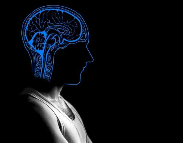 The relationship between citicoline and memory The relationship between citicoline and memory