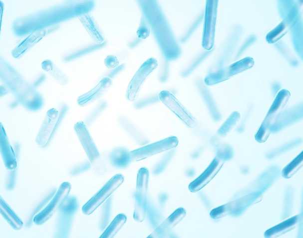 Regulate intestinal flora Regulate intestinal flora