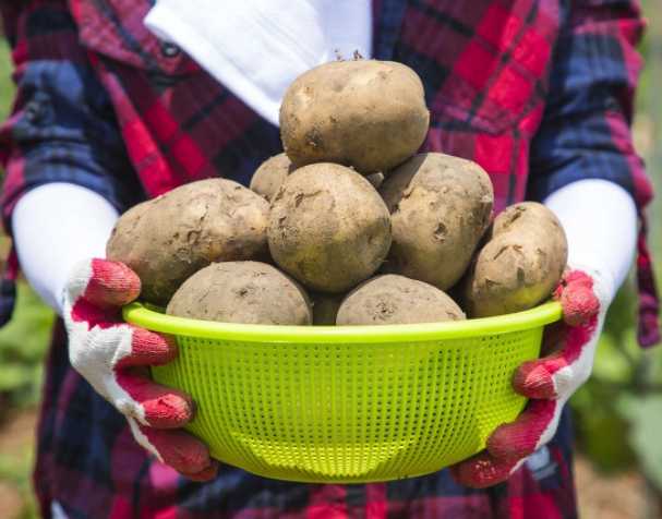 Functions and Effects Functions and Effects