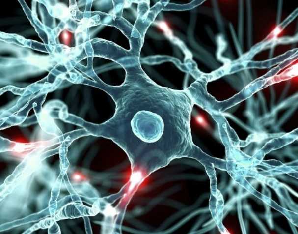 Promote neurological health Promote neurological health