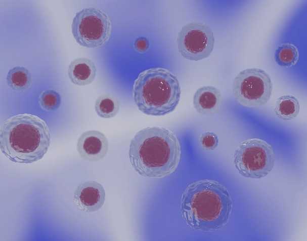 Structure and characteristics of PQQ Structure and characteristics of PQQ