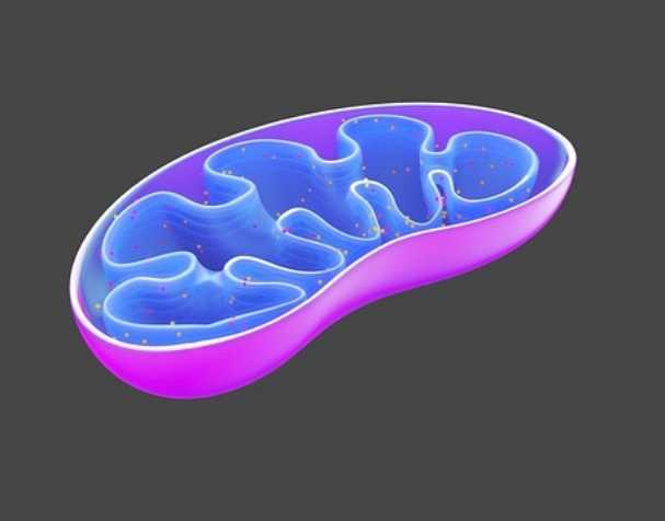 Relieve symptoms of specific diseases Relieve symptoms of specific diseases