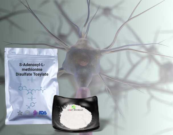 SAMe's Effects on Neurological Health SAMe's Effects on Neurological Health