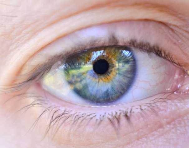 Mechanism of Action of Citicoline Mechanism of Action of Citicoline