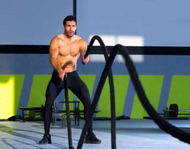 Pyrroloquinoline Quinone Disodium Salt (PQQ Disodium Salt): A Novel Nutrient for Improving Muscle Strength Pyrroloquinoline Quinone Disodium Salt (PQQ Disodium Salt): A Novel Nutrient for Improving Muscle Strength